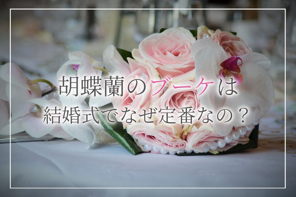 胡蝶蘭のブーケは結婚式でなぜ定番なの？贈る際には花言葉の意味やブーケの種類について知っておこう